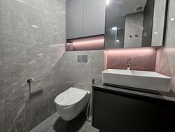 Irwell Hill Residences (D9), Apartment #575835861
